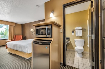 Standard Room, 1 King Bed, Non Smoking, Refrigerator & Microwave (Pet Friendly)