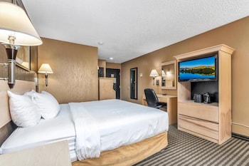Standard Room, 1 King Bed, Non Smoking, Refrigerator & Microwave (Pet Friendly)