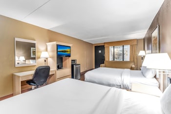 Standard Room, 2 Double Beds, Non Smoking, Refrigerator & Microwave (Pet Friendly)