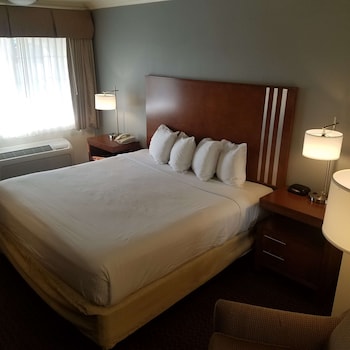 Standard Room, 1 King Bed, Accessible, Non Smoking