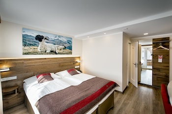 Classic Double or Twin Room, Mountain View