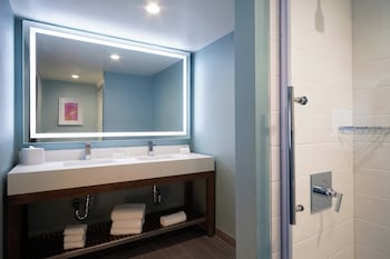 Suite, 1 King Bed with Sofa bed