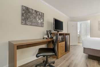 Standard Room, 1 Double Bed, Accessible, Bathtub (with Sofabed)