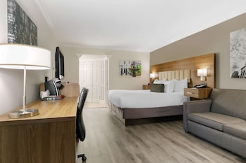 Standard Room, 1 King Bed, Non Smoking, Refrigerator & Microwave (with Sofabed)