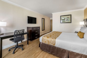 Standard Room, 1 King Bed, Non Smoking, Refrigerator