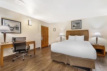 Standard Room, 1 Queen Bed, Non Smoking