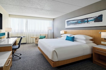 Room, 1 King Bed