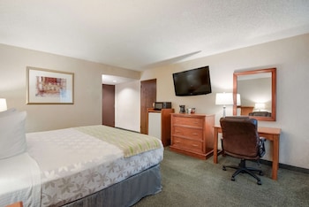 Standard Room, 1 King Bed, Accessible, Non Smoking