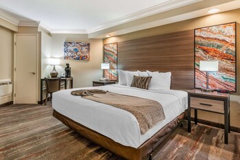 Suite, 1 King Bed, Non Smoking, Jetted Tub (with Sofabed)