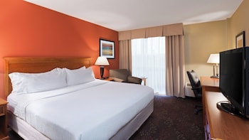 Standard Room, 1 King Bed with Sofa bed