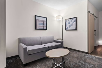 Suite, 1 King Bed, Non Smoking, Refrigerator & Microwave (with Sofabed)