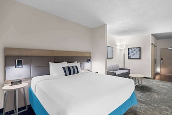 Suite, 1 King Bed, Non Smoking, Refrigerator & Microwave (with Sofabed)