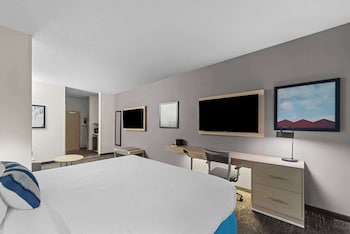 Suite, 1 King Bed, Non Smoking, Refrigerator & Microwave (with Sofabed)