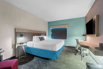 Standard Room, 1 King Bed, Accessible, Refrigerator & Microwave (Walk-in Shower)
