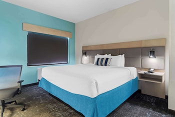Suite, 1 King Bed, Non Smoking, Refrigerator & Microwave (with Sofabed)