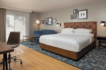 Room, 1 King Bed with Sofa bed, Hearing Accessible