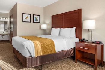 Room, 1 Queen Bed, Accessible, Non Smoking