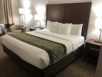 Suite, 1 King Bed with Sofa bed, Non Smoking (Upgrade)