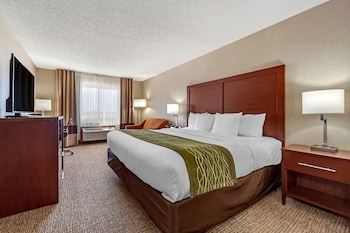 Suite, 1 King Bed with Sofa bed, Non Smoking (Upgrade)