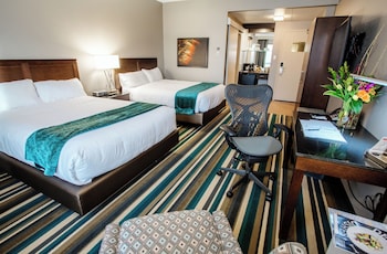 Signature Room, 2 Queen Beds