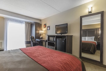 Room, 1 Queen Bed, Non Smoking, Ground Floor (Pet Friendly)
