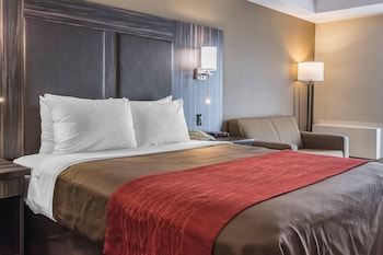 Room, 1 Queen Bed, Non Smoking, Ground Floor (Pet Friendly)