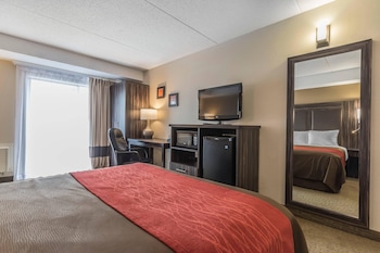 Room, 1 Queen Bed, Non Smoking, Ground Floor (Pet Friendly)