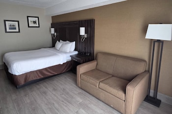 Room, 1 Queen Bed, Non Smoking, Ground Floor (Pet Friendly)