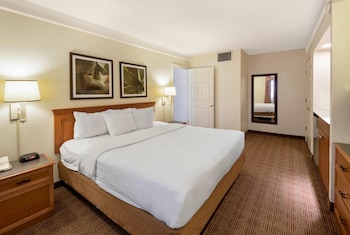 Deluxe Suite, 1 King Bed, Non Smoking