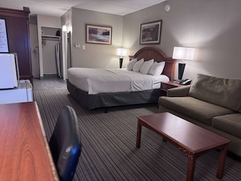 Business Room, 1 King Bed, Non Smoking