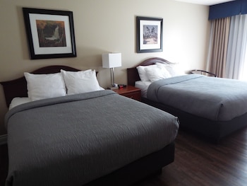 Standard Room, 2 Double Beds, Non Smoking