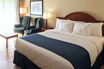 Deluxe Room, 1 King Bed with Sofa bed, Non Smoking (2 Person Sofa Bed)