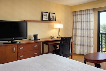 Room, 1 King Bed with Sofa bed (Hearing Accessible)