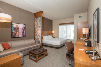 Standard 1 King Bed with Sofa bed, Accessible (With Shower)