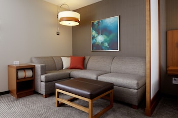 Standard 1 King Bed with Sofa bed, Accessible (With Shower)