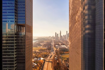 Room, 1 King Bed, Park View (Accessible, Views Millenium Park Lake)