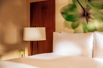 Suite, 1 Bedroom (Mobility Accessible)