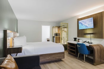 Standard Room, 1 King Bed, Non Smoking, Refrigerator & Microwave (Shower Only;with Sofabed)