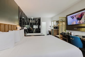 Standard Room, 1 King Bed, Non Smoking, Jetted Tub (Walk-in Shower)