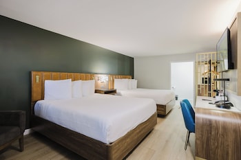 Standard Room, Multiple Beds, Non Smoking, Refrigerator & Microwave (Shower Only)