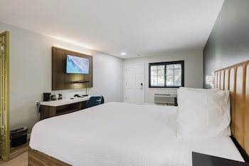 Standard Room, 1 King Bed, Non Smoking, Refrigerator & Microwave (Shower Only;with Sofabed)