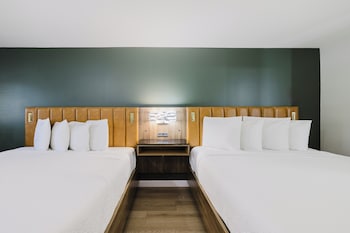 Standard Room, Multiple Beds, Non Smoking, Refrigerator & Microwave (Shower Only)