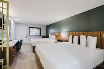 Standard Room, Multiple Beds, Non Smoking, Refrigerator & Microwave (Shower Only)