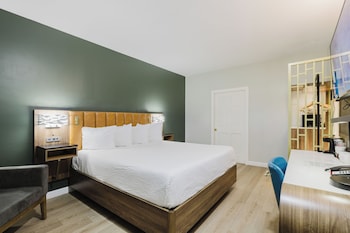 Standard Room, 1 King Bed, Non Smoking, Refrigerator & Microwave