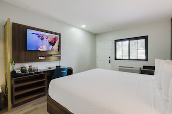 Standard Room, 1 King Bed, Non Smoking, Jetted Tub (Walk-in Shower)
