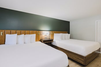 Standard Room, Multiple Beds, Non Smoking, Refrigerator & Microwave (Shower Only)