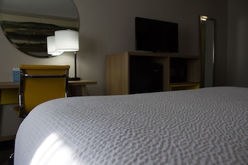 Room, 1 King Bed, Non Smoking (Pet-Friendly)