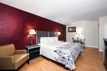 Superior Room, 1 King Bed, Non Smoking