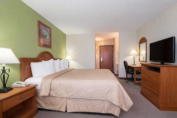 Room, 1 King Bed, Smoking