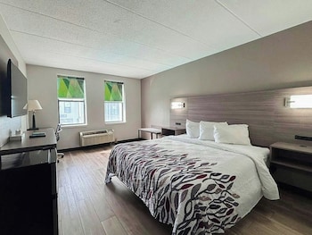 Superior Room, 1 Queen Bed, Accessible, Non Smoking (Roll-In Shower)